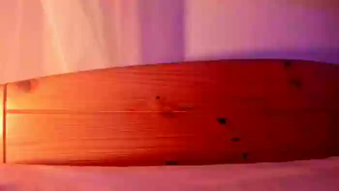 vanillaisforicecram_