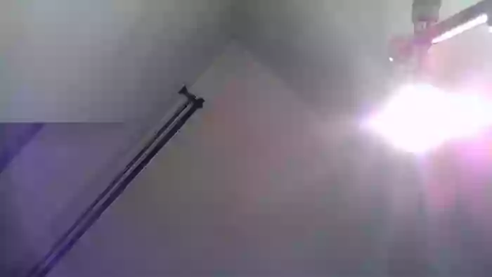 Polmi_