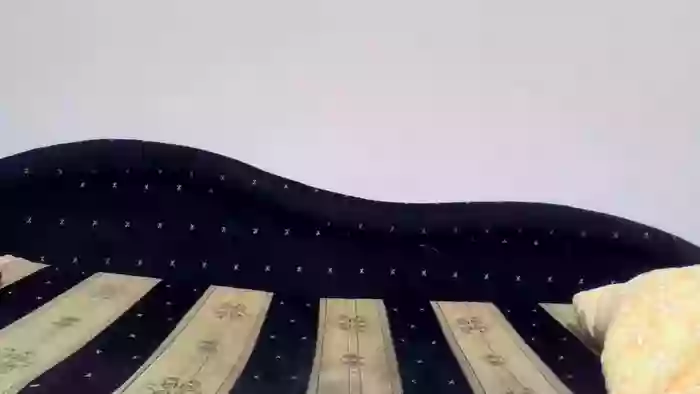 PodnieconaOna19_