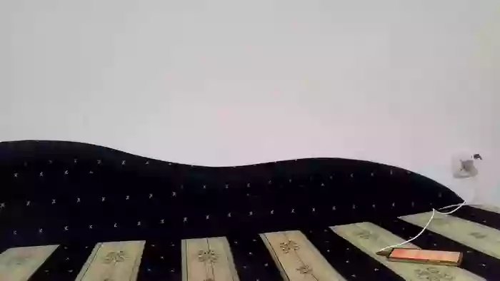 PodnieconaOna19_
