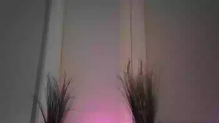 OliviaBayLive_