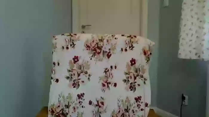 motylecczek_