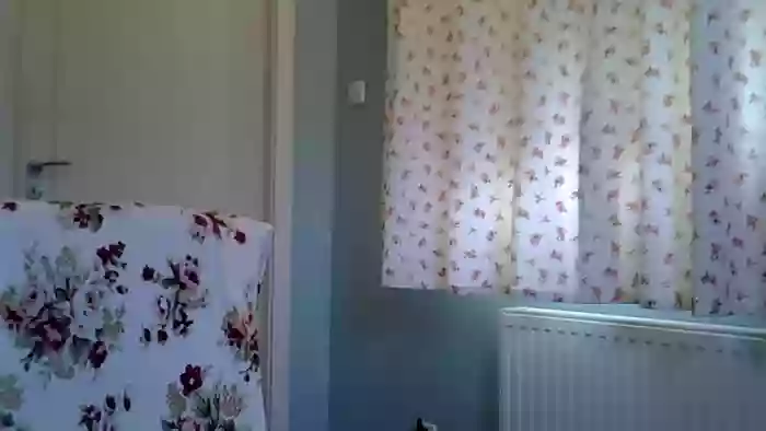 motylecczek_