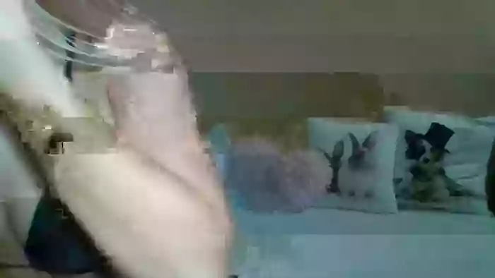 SweetWiki23_