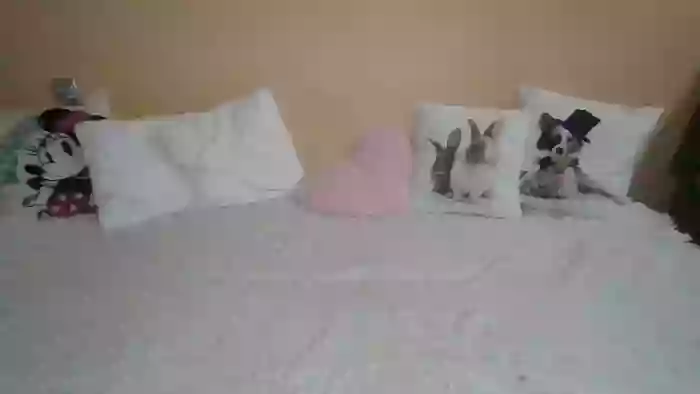 SweetWiki23_