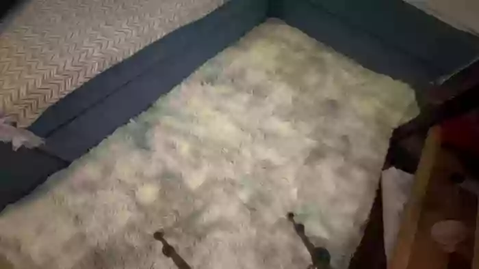 GlebokieGardloGrubyFiut