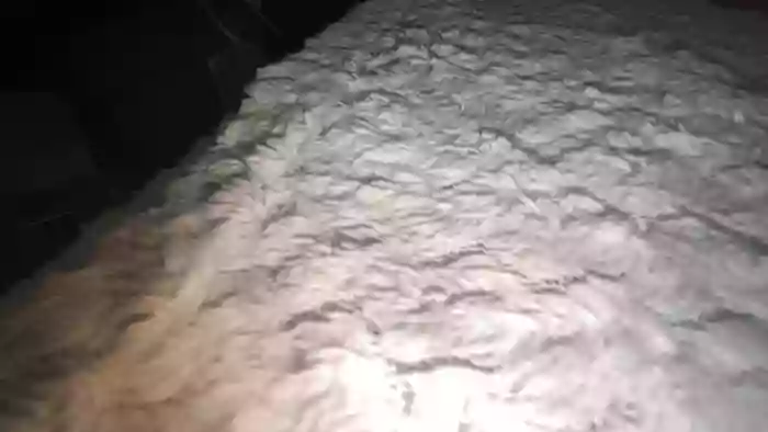 GlebokieGardloGrubyFiut