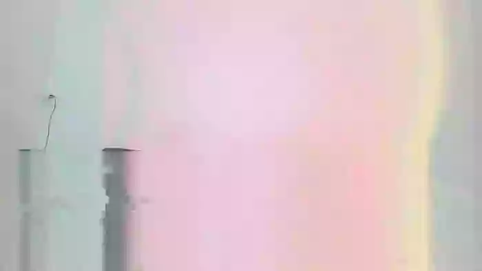 Tasama_Lara