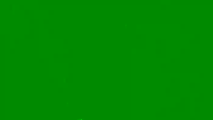 Ulegla_Suka_z_Kumplem