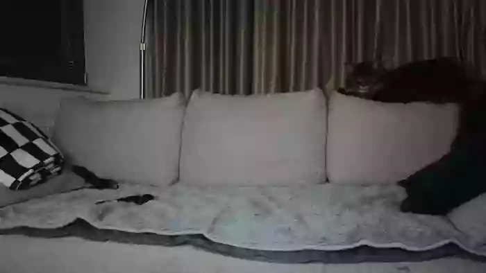 Lily24