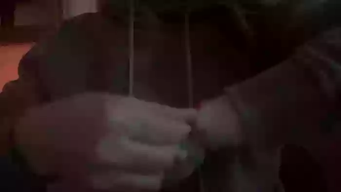 dzikiezadze