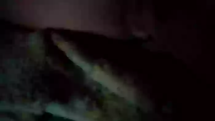PanOdPrzyjemnosci