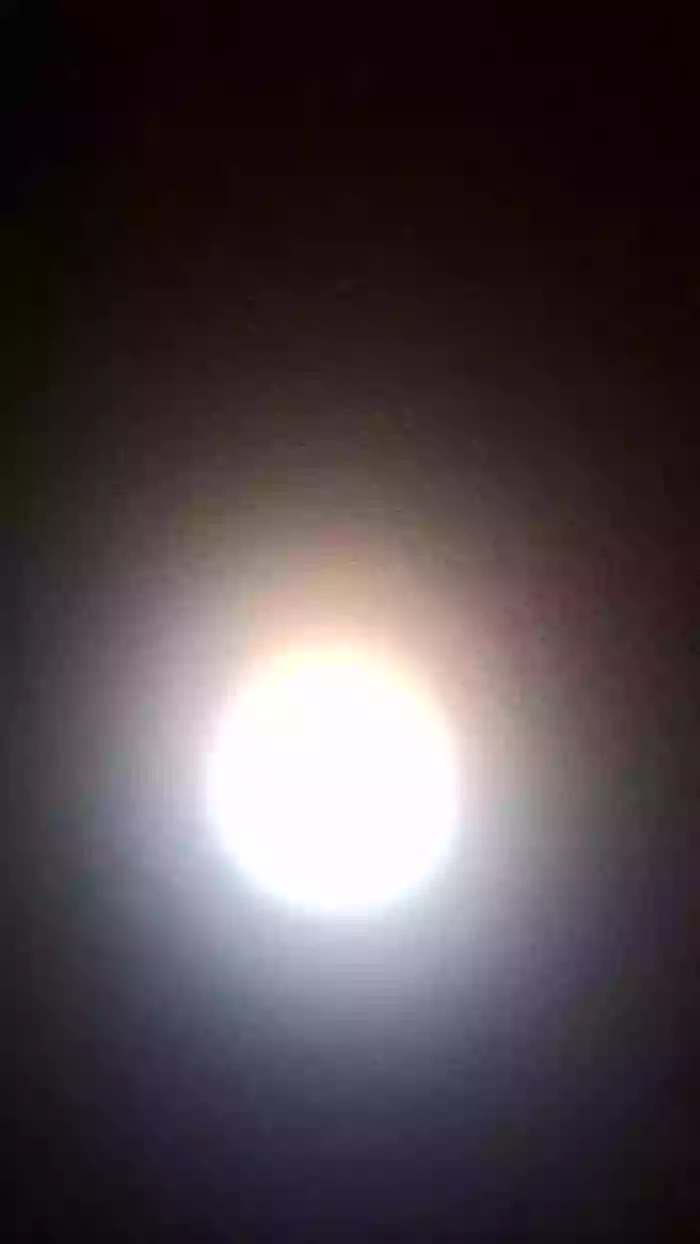 maciobol