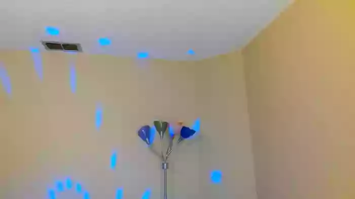 Bella_shine