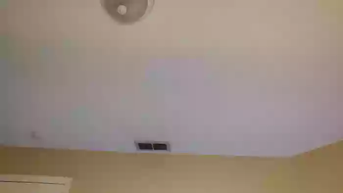 Bella_shine