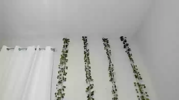 Tiny_Taylor