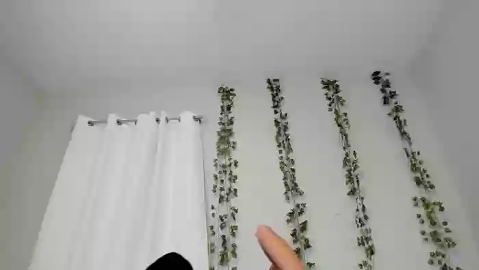 Tiny_Taylor