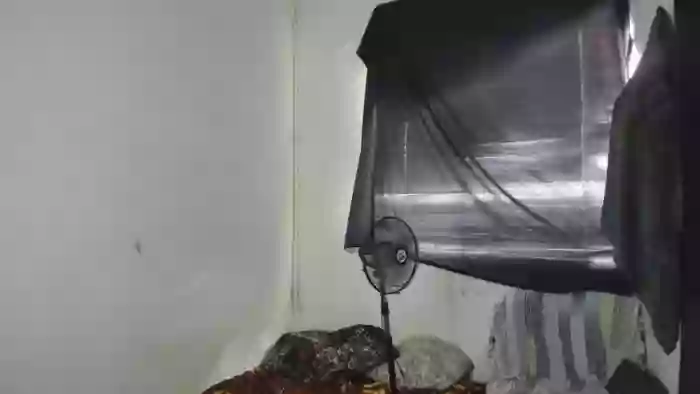 18MateoBigcook