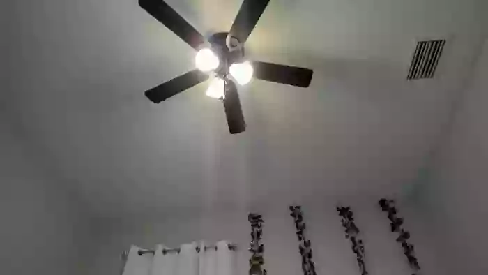 Tiny_Taylor