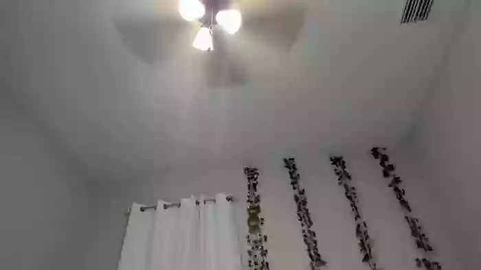 Tiny_Taylor