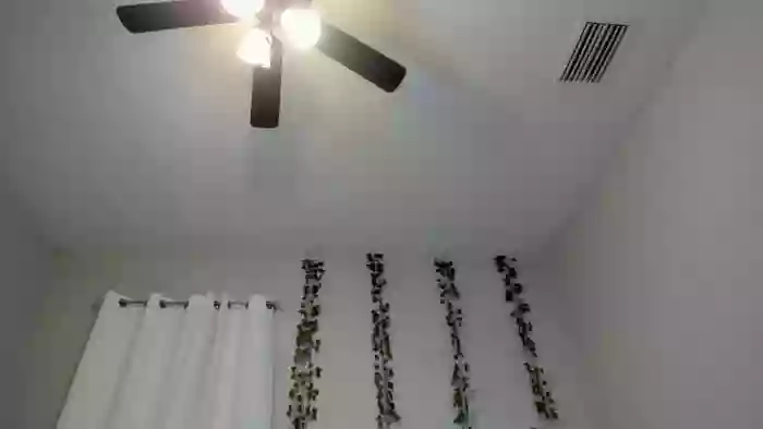 Tiny_Taylor