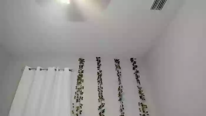 Tiny_Taylor