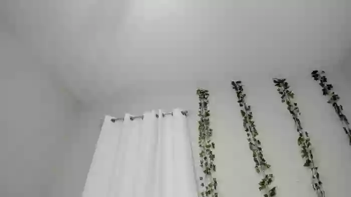 Tiny_Taylor