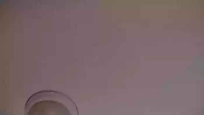 Bella_shine