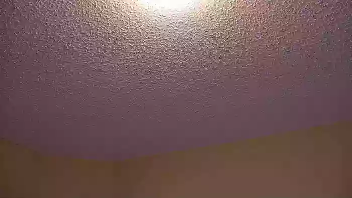 Bella_shine