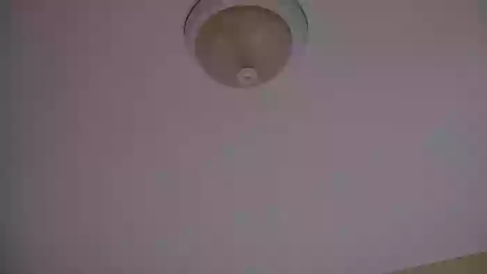 Bella_shine