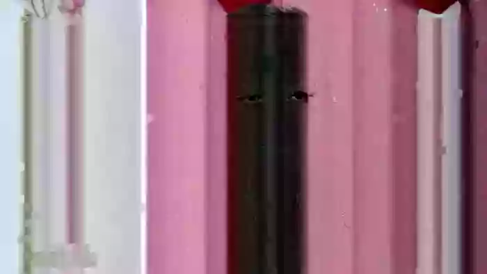 AsianBeautysndtheBeast