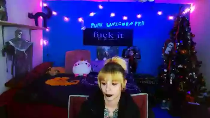 PunkUnicorn