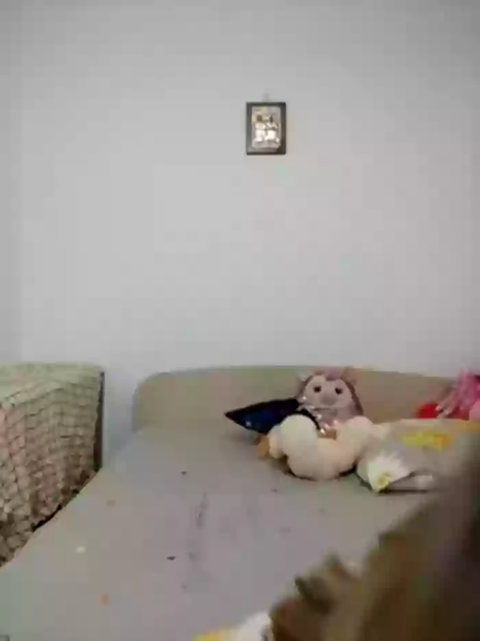 Ella_Alexis