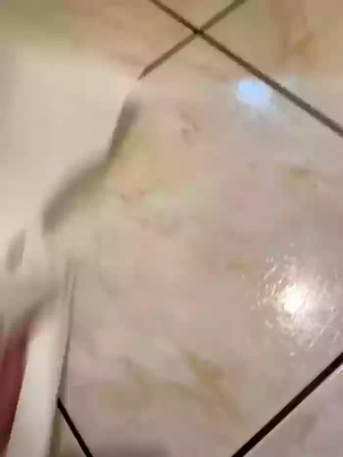 Daisy_Michto_Officiel