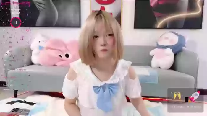 huihui-66
