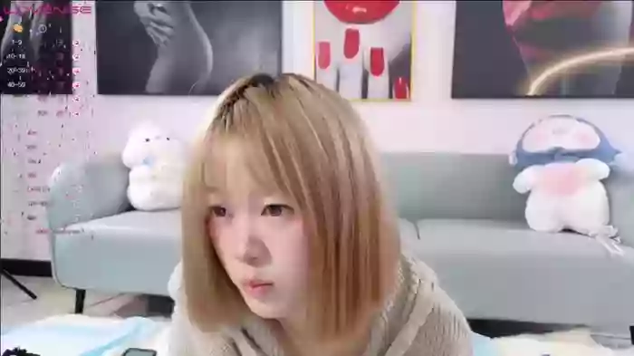 huihui-66