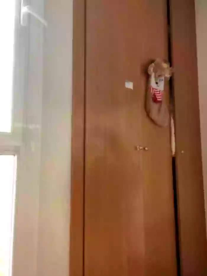 Enyeld_ruru