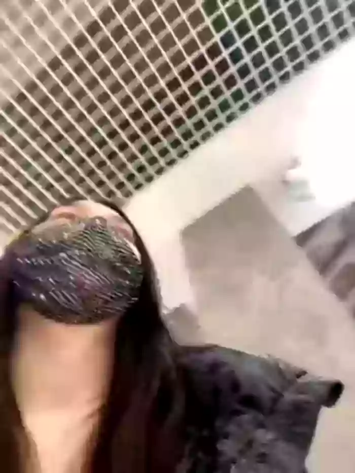shybabyss
