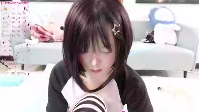 huihui-66