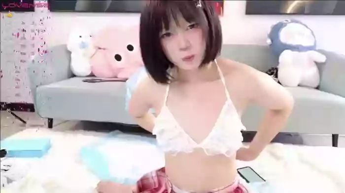 huihui-66