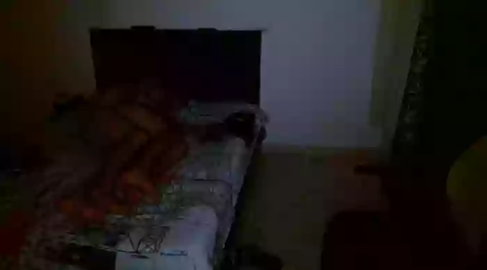 giannandblacke