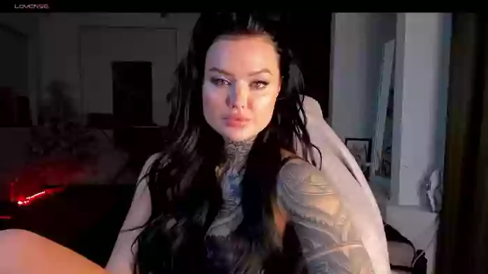pantera_flashh