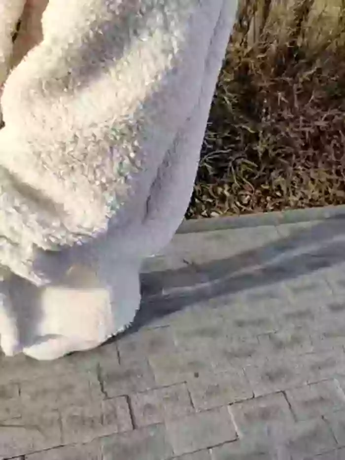 Two_Hot_Cats_Love