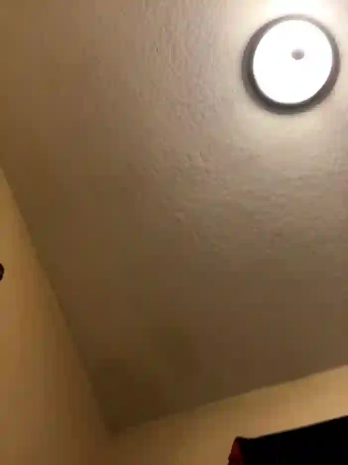macchiatoD