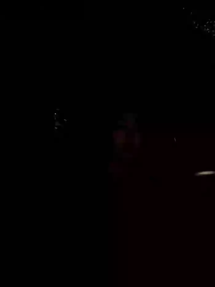 Alexa_fort