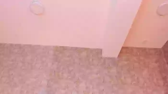 AnneCasanova