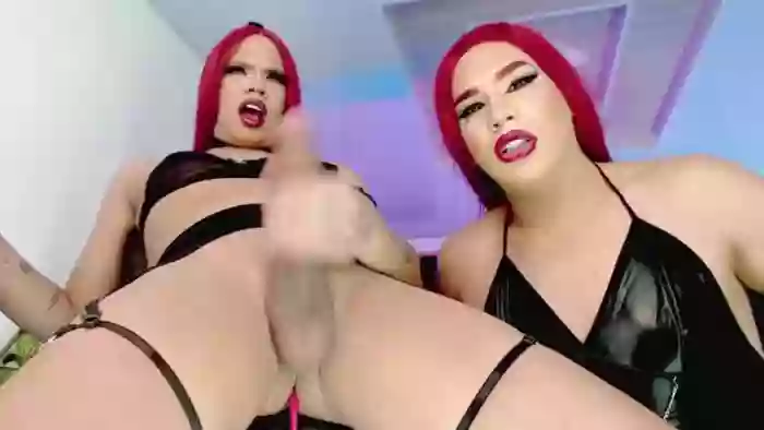 NahoAndElinets