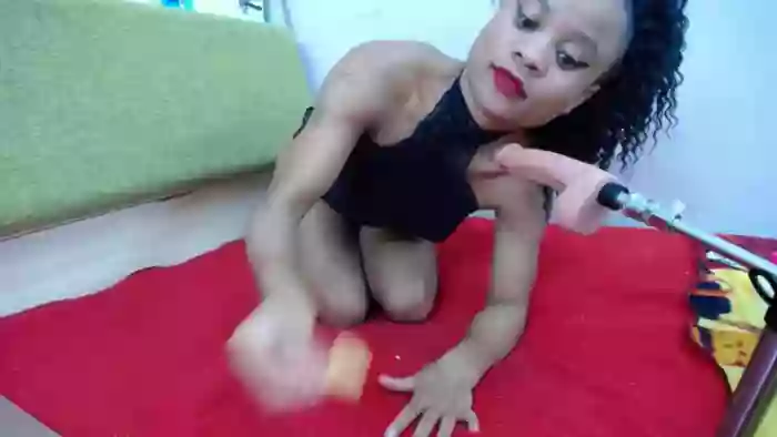TropicalFunPaloma