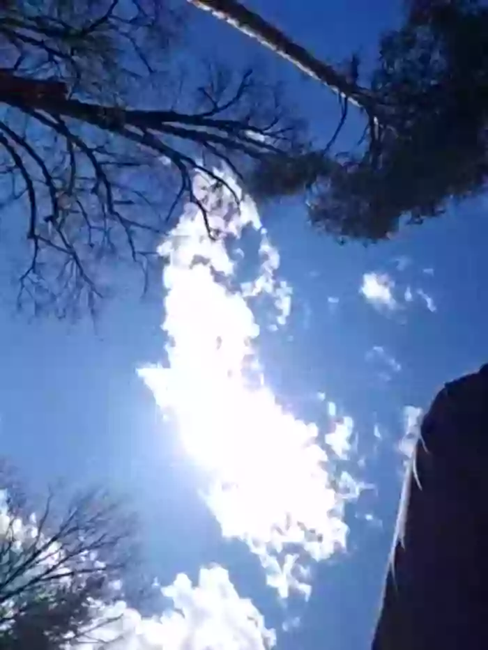JoliDanielle
