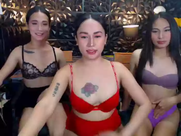 ThreeLadyTransCumForYou